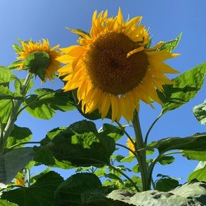 Meet your Posher, Karin